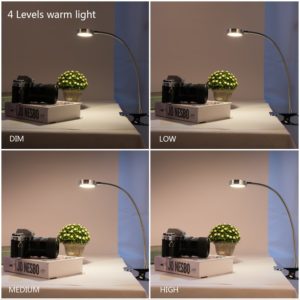best light for reading and studying
