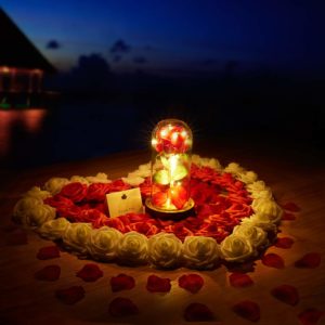 led light up roses
