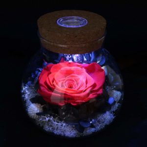 red rose led lights